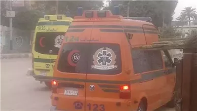 الاستعلام عن حالة سيدة دهستها سيارة في مصر الجديدة 