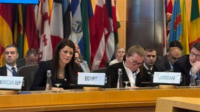 المشاط: حرصنا على خلق منصات تنسيق لتحقيق التكامل بين جهود شركاء التنمية