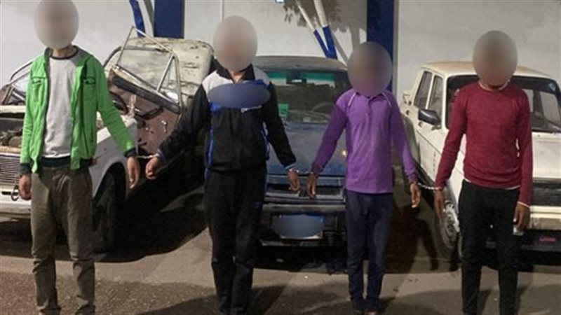 تشكيل عصابى لسرقة،فيتو