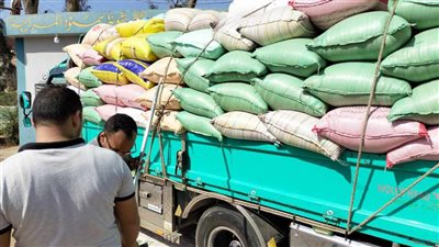 البنك الزراعي يبدأ استلام القمح من المزارعين والموردين في 190 موقعا على مستوى الجمهورية