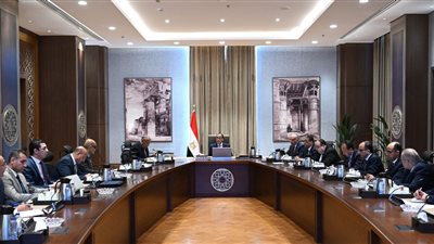 رئيس الوزراء يتابع جهود تفعيل التعاون بين مصر وجنوب السودان