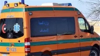 التوت القاتل، تفاصيل مصرع طفل إثر سقوطه من أعلى 