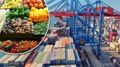 اتحاد القبائل العربية: هناك طفرة نوعية وتحولات استراتيجية في الإنتاج والتصدير الزراعي