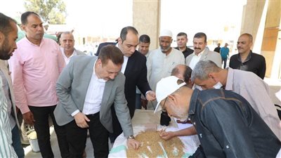 حاول خداعهم، ضبط تاجر  خلط القمح  للاستفادة بفارق الأسعار بالمنوفية