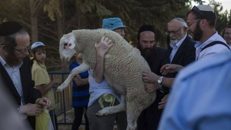  ذبح قرابين الفصح