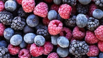 التوت يكافح الشيخوخة ويحمي من سرطان الثدي والمبيض