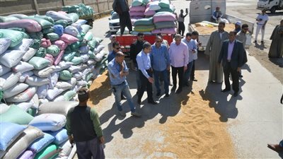 محافظ قنا يتابع توريد محصول القمح بعدد من الصوامع 