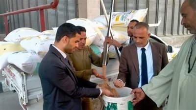 أحدث إحصاء، توريد 4716 طن قمح لشون وصوامع البحيرة 