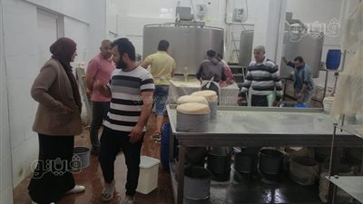 تحرير 11 محضرا تموينيا لأصحاب معامل الألبان المخالفين في كفر الشيخ