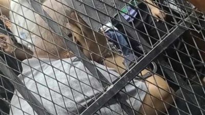 الصور الأولى للمتهمين في قضية طبيب الإجهاض بالجيزة 