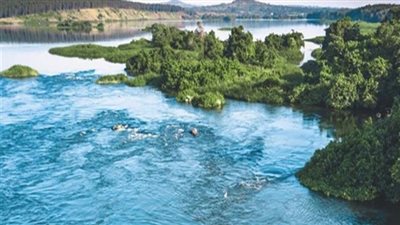 خبير موارد مائية يزف بشرى بشأن نهر النيل