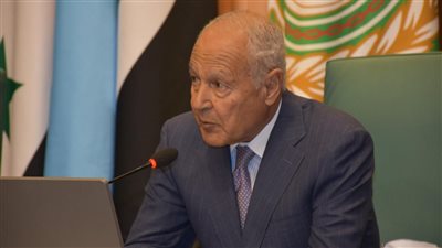 أبو الغيط يلتقي الزياني لمناقشة التحضيرات المتقدمة لعقد القمة العربية القادمة بالبحرين