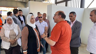 التضامن: قروض ميسرة للعمالة غير المنتظمة بسوق الأحمدية في أسوان 