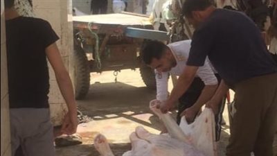 خطة محافظة الدقهلية للمرور على المجازر للاستعداد لاستقبال عيد الأضحي