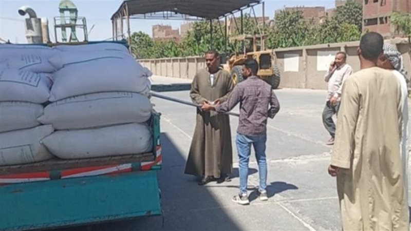 توريد القمح ببنكر