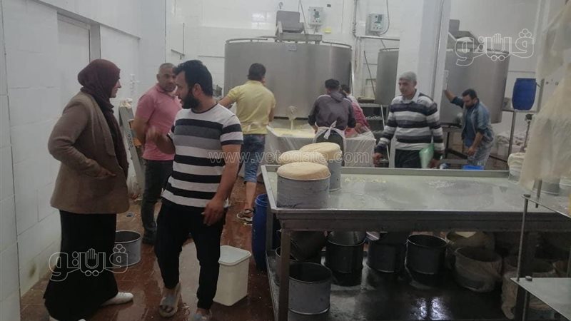 معامل الألبان،فيتو