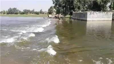 عباس شراقي يزف بشرى سارة بشأن منسوب النيل هذا العام (فيديو)