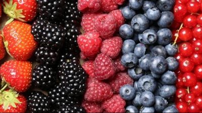 البري يصل لـ 655 جنيها، ارتفاع كبير في أسعار التوت بالأسواق