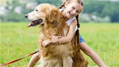 ترخيص الكلاب 2025.. الرسوم والإجراءات الرسمية (انفوجراف)