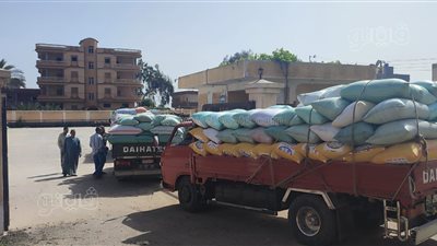 توريد 15 ألفا و200 طن قمح لشون وصوامع كفر الشيخ 