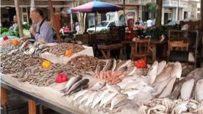 خليه يعفن تشغل بال المصريين، فنان يطالب بالمشاركة، والنشطاء: الحملة نجحت وسعر الأسماك انخفض 