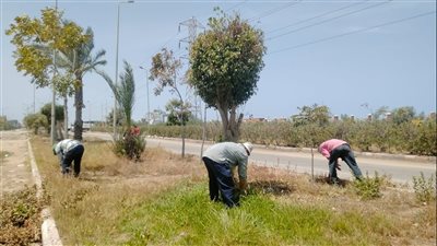 رفع 2500 طن مخلفات في المنطقة الصناعية بجمصة (صور)