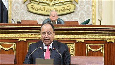 وزير المالية: 6.6 تريليون جنيه إجمالي مصروفات الحكومة في الموازنة الجديدة 