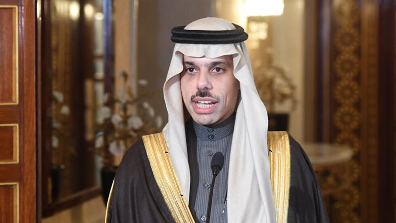 فيصل بن فرحان، فيتو