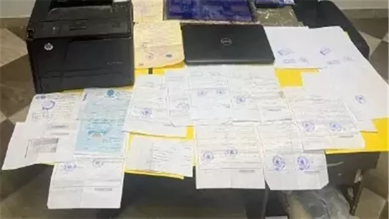 تزوير المحررات الرسمية،فيتو