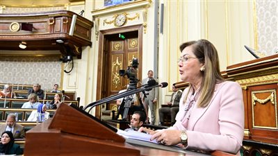  وزيرة التخطيط: الاتصالات أسرع القطاعات نموًا و85 مليار جنيه استثمارات مُستهدفة 