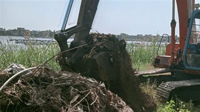 إزالة 26 حالة تعد على أملاك الدولة والأراضي الزراعية بالبحيرة