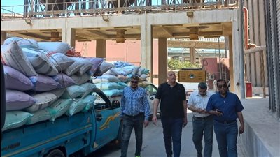 توريد 36 ألفا و500 طن قمح لشون وصوامع الدقهلية