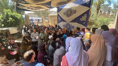 جامعة المنصورة تطلق قافلة طبية متكاملة في قرية الحوتة بالمنزلة