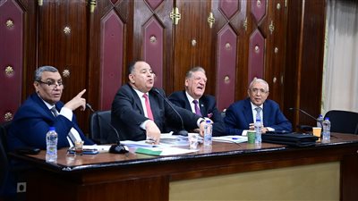 وزير المالية: مخصصات مالية لتوفير 120 ألف فرصة عمل أغلبها في التعليم