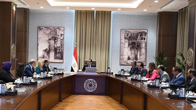 رئيس الوزراء يلتقي مسئولي شركة 