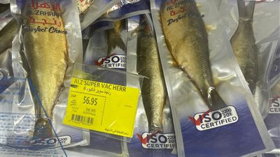 لمن استطاع إليها سبيلا، أسعار الفسيخ والرنجة والسردين والملوحة بالمحال التجارية (صور)