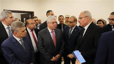 التعليم العالي: إنشاء 6 جامعات من الجيل الرابع بتخصصات علمية حديثة في سيناء