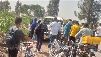 عمود يهشم ميكروباص، العناية الإلهية تنفذ ١٤ راكبا من الموت بالغربية (صور)