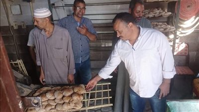 ضبط سلع بدون فواتير وتحرير 53 محضرا خلال حملات تموينية بالأقصر