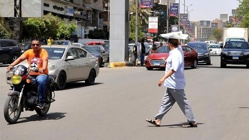 الموجة الحارة، فيتو