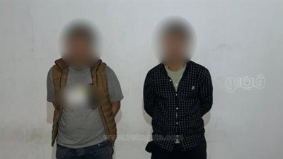 ضبط 9 عناصر إجرامية بحوزتهم كميات من المخدرات بالجيزة والشرقية (صور)
