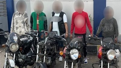 سقوط 6 تشكيلات عصابية ارتكبوا جرائم سرقات متنوعة في 4 محافظات (صور)