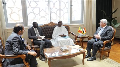 وزير التعليم العالي يؤكد حرص مصر على تقديم كافة أشكال الدعم للدول الإفريقية