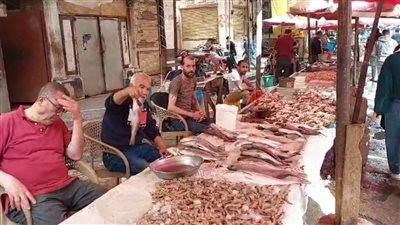 ركود في أسواق الأسماك بالإسكندرية، والتجار: تكاليف الصيد ارتفعت (فيديو وصور)