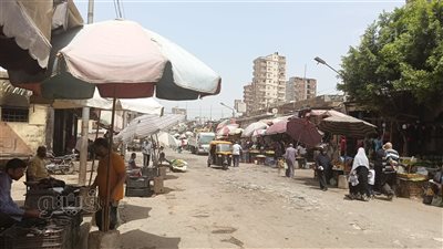 الشرقية تنضم لحملات المقاطعة، حلقة السمك بالزقازيق بلا زبائن (صور)