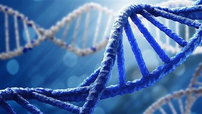 اليوم، انطلاق المؤتمر الدولي للأمراض الوراثية النادرة برعاية المركز القومي للبحوث