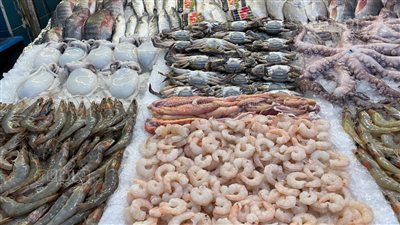 الشعب جاب آخره، المنوفية تنضم اليوم لحملة مقاطعة الأسماك بعد ارتفاع أسعارها