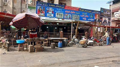 انخفاض الأسعار، نجاح حملة مقاطعة شراء الأسماك لليوم الثالث في دمياط (صور)