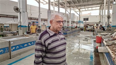 رئيس شعبة الأسماك بتجارية الإسماعيلية يؤكد انخفاض الأسعار 30 % 