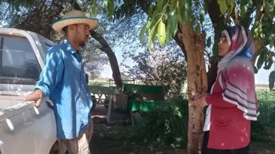 لدعم الثروة الحيوانية والداجنة، حملات تحصين وندوات توعية مكثفة للمواطنين بالوادي الجديد 